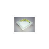 (07) quadratische Zitronenplatte "elite" 19,5x3