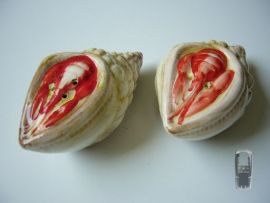 (30) Salz & Pfefferstreuer in Form einer Muschel