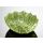 (04) ovale Salat-Gemüse-Schale-Schüssel 25x21x9