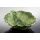 (01B) Salat Schale in Blattform 32x30